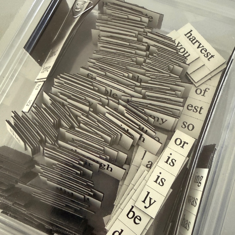 Magnetic Poetry 3 Sets